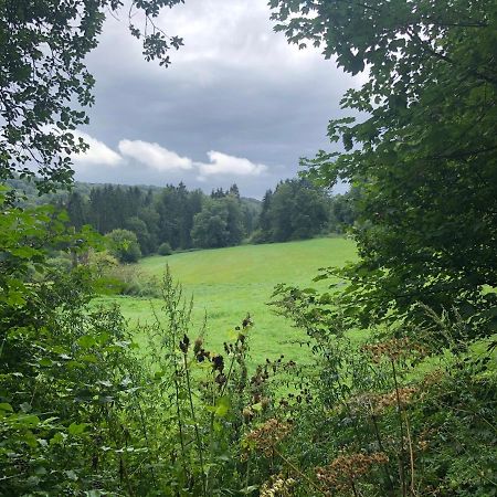 Ferienwohnung Waldruhe Hessisch Oldendorf Zewnętrze zdjęcie