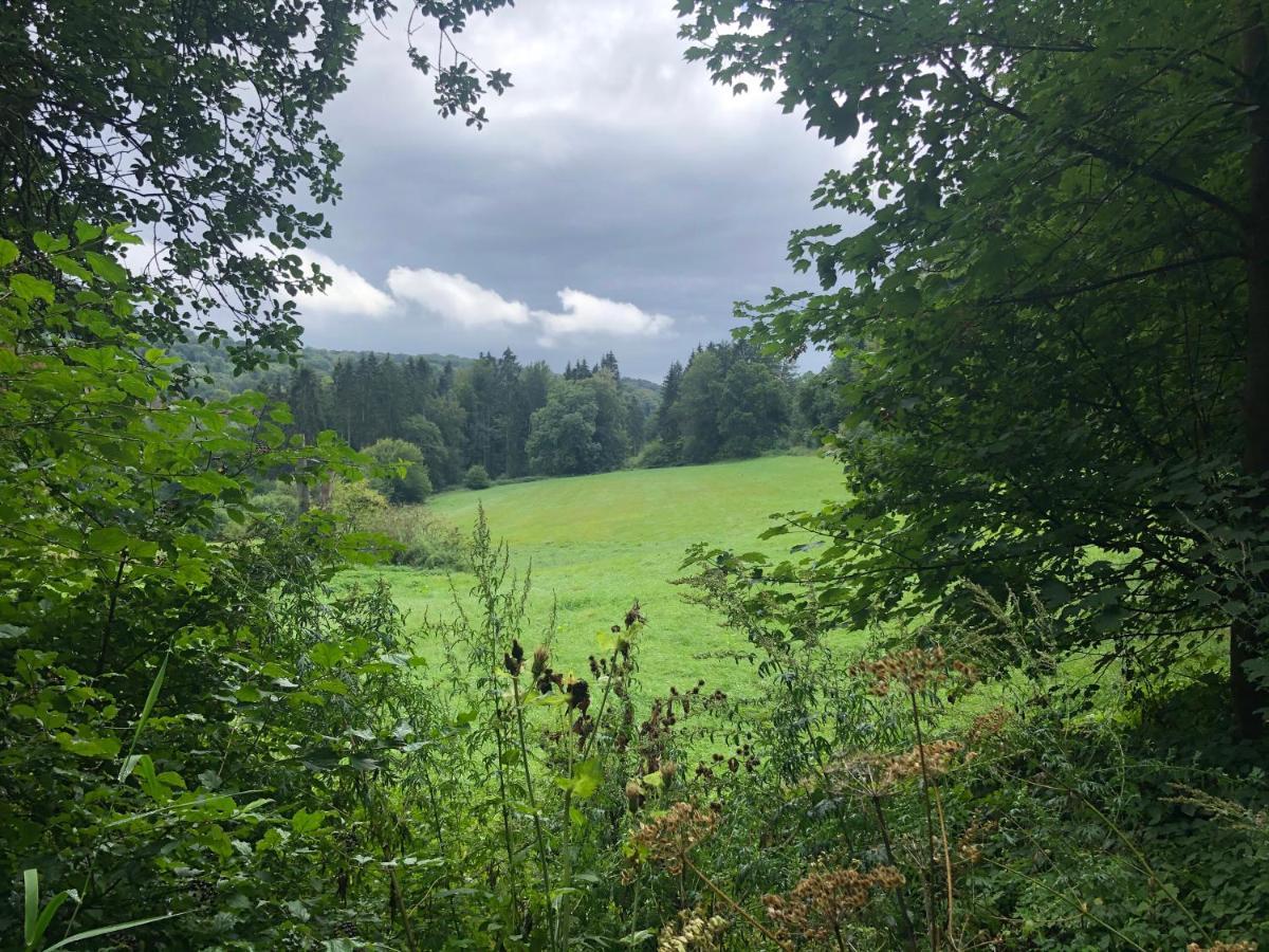 Ferienwohnung Waldruhe Hessisch Oldendorf Zewnętrze zdjęcie